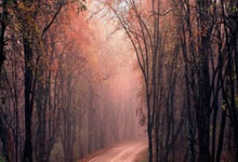 武汉各类会所收费标准大揭秘，休闲与娱乐餐饮类均有