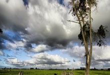 全面揭秘武汉桑拿文化：历史、现状与独特魅力