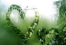 武汉休闲好去处，东湖绿道可赏景、野餐、逛特色小店