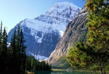 武汉会所真如传闻出色？全方位考察其服务、环境等方面表现