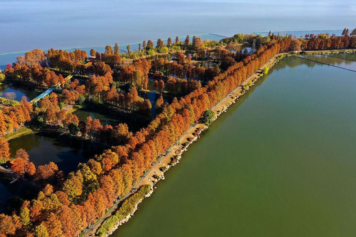 休闲武汉可以去哪里玩_武汉哪里可以休闲_休闲武汉可以玩的地方