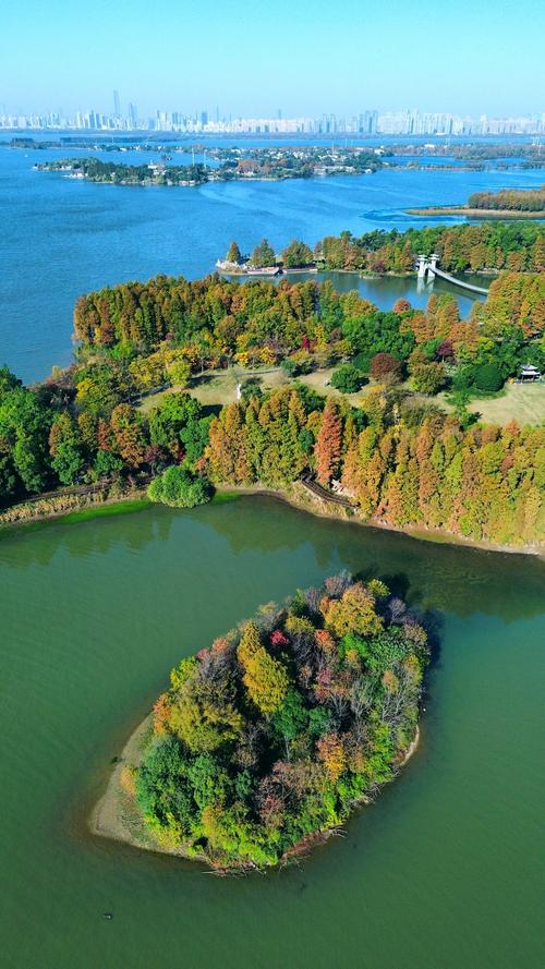 武汉可以自由活动吗_武汉哪里可以休闲_休闲武汉可以去哪里玩