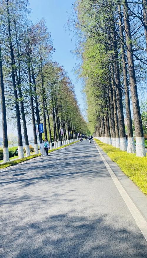 活力武汉好去处，东湖绿道与汉口江滩适合周末漫步赏景