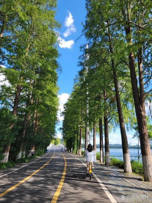 武汉魅力独特休闲韵味十足，自然环境优越引众人争议？