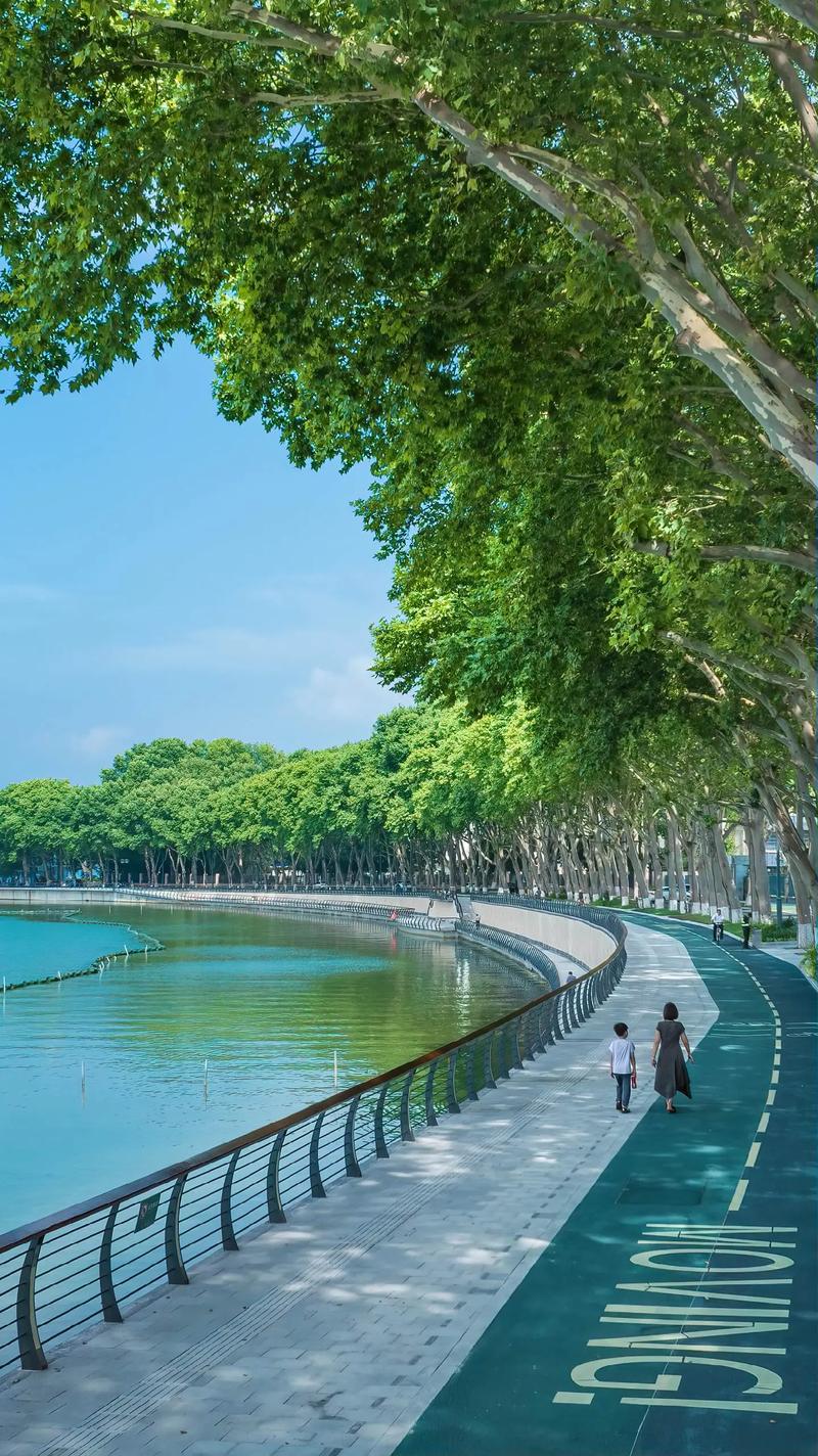 魅力武汉好去处众多，东湖绿道赏景休闲两相宜