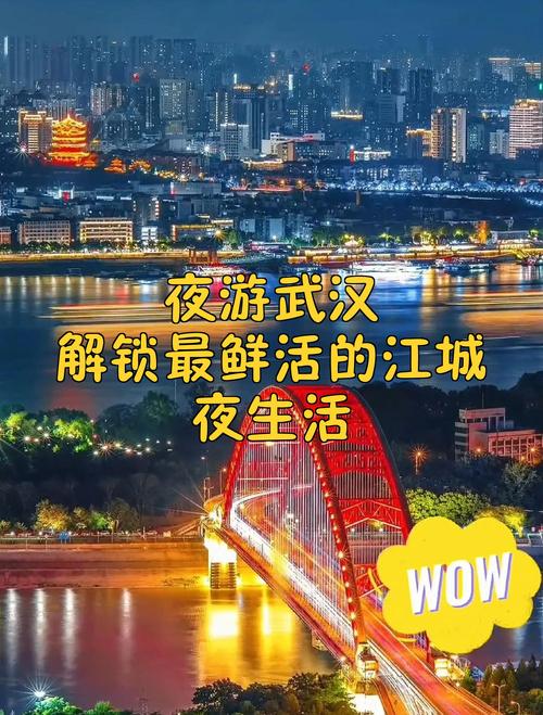 武汉夜网信息丰富但需甄别，成效几何待深入剖析？